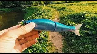 Щуки на Gan Сraft Jointed claw 178SS