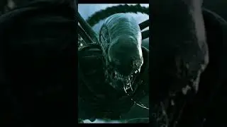 Películas de Alien tuvo una gran evolución con los alien que presento cada Película