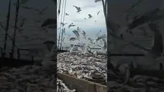 Камчатка. Рыбодобытчики возвращаются домой с работы.