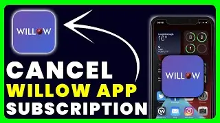 How to Cancel Willow Subscription