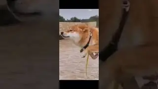 никогда не грусти 😔