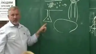 Как алкоголь убивает клетки мозга  Лекция Жданова В Г