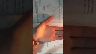 Су джок Семянотерапия🌿 при заболеваниях печени. 