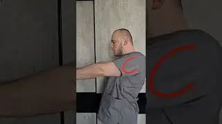 Упражнения для спины при сидячей работе #shortsvideo #больвспине #упражнения