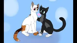 CatWar/Как я надулась