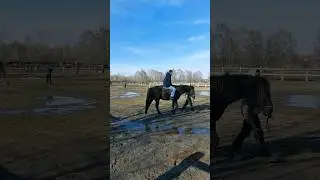 Ангарск 95 квартал Конно спортивный клуб Аллюр 24.03.24