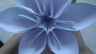 Qanday qilib qog'ozdan Gul yasasa bo'ladi