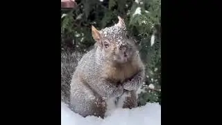 Лесная красавица! 😊