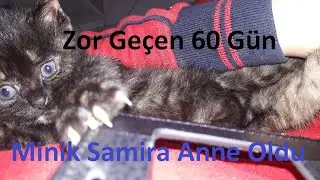Minik Samiramın Duğum Zamanı Geldi