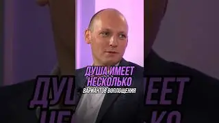 Душа имеет несколько вариантов воплощения | Никита Бурлаков