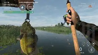 fishing planet  BS1