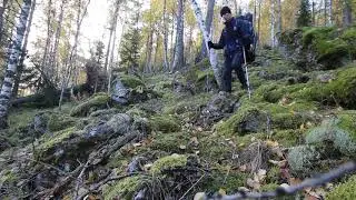 тыц-тыц