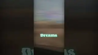 Follow 