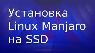 Installing Linux Manjaro on a new SSD (btrfs) in parallel with the HDD