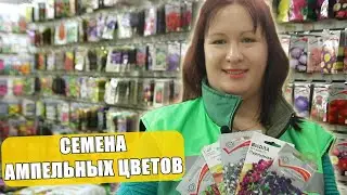 ЛУЧШИЕ АМПЕЛЬНЫЕ ЦВЕТЫ ДЛЯ ВАШЕГО САДА НА 2024 ГОД!