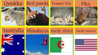 Top 20 Cute Animals_Animals From Different Countries