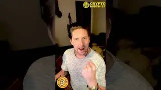 Watch Me Invest $1500: B² Network Layer 2 