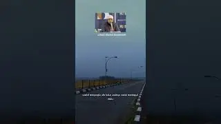tidak ada satupun yang berani membela RASULULLAH kecuali Abu Bakar pada saat itu