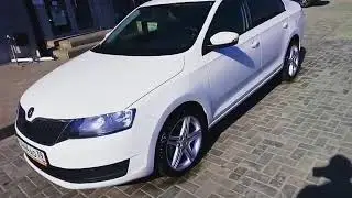 Skoda Rapid в автопрокате 