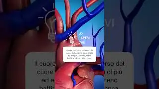 Ad ognuno il proprio cuore!