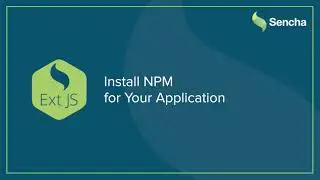 Install NPM