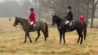 Hunting Mells Foxhounds