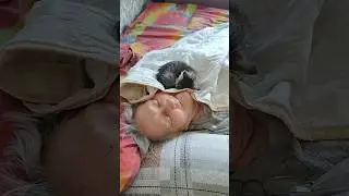 Утро,С Котиками и Мама #котики #мама