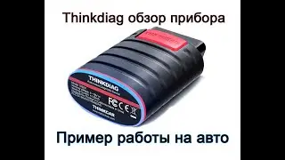 Thinkdiag device review, vehicle usage example, Diagzone Pro software