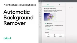 How to: Automatic Background Remover & the Restore Tool