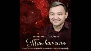 Денис Хисаметдинов 