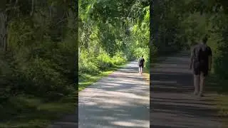 Lots to see- beautiful trail ❤️