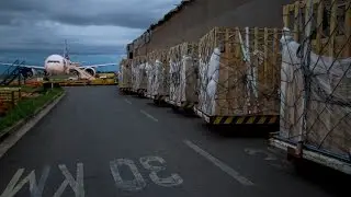 Um Rebanho nas Alturas
