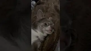 Кайфуем, сегодня мы с тобой кайфуем 