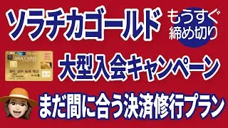 【9月30日で申し込み終了】ANAカードキャンペーン参加は今からでも間に合うか
