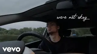 Danny Hallen - Not Okay (Lyric Video)