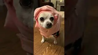 The Cutest Animals of 2023
