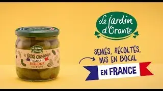 Saga Cornichons Français - N°1 Le Coq - Le Jardin d'Orante