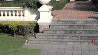 Nepal 2011