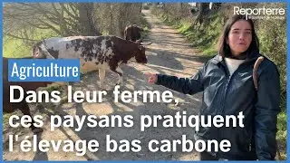 Dans leur ferme, ces paysans pratiquent l'élevage bas carbone