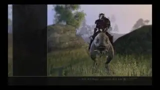Just an Argonian