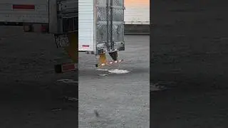Semi Is Leaking Bad, Trucker Is Clueless #trailer #semitruck #truckdriver #trucking #fail