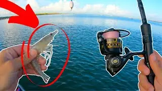Kayak fishing with GIANT LIVE shrimp! (Surprise fish)