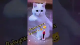 Прекрасного настроения 💯💯💯🥰🥰🥰