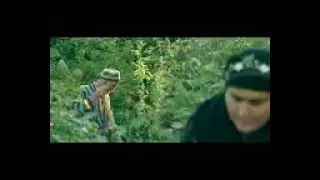 Да хона шиштай ранги бева шидай