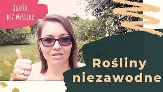 #3 Niezawodne rośliny, które poradzą sobie bez Twojej opieki. Sprawdzone i bezobsługowe