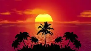 tropical island vibes