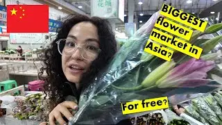 The Most Insane Flower Market You’ll Ever See! (Biggest in Asia!)