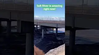Salt River, Arizona