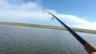Рыбалочка  Ставропольский край  с Куршава