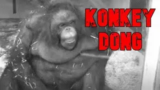 Konkey Dong: The Alternate Timeline